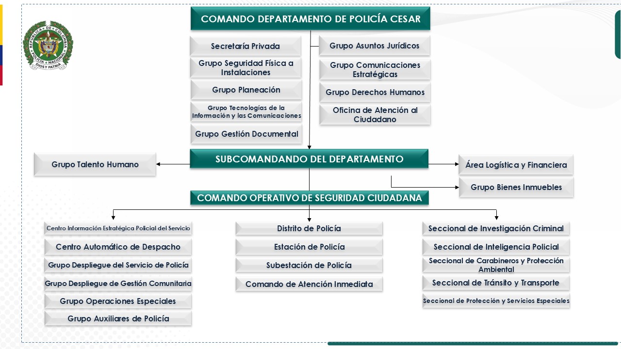 Organigrama Deces 2024