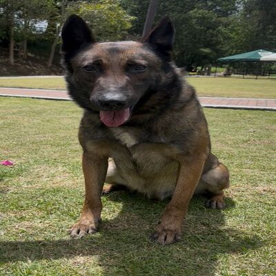 Puski de la Policia Nacional_Frontal