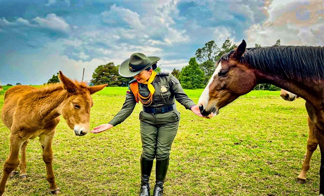 Direcci&oacute;n de Carabineros y Protecci&oacute;n Ambiental