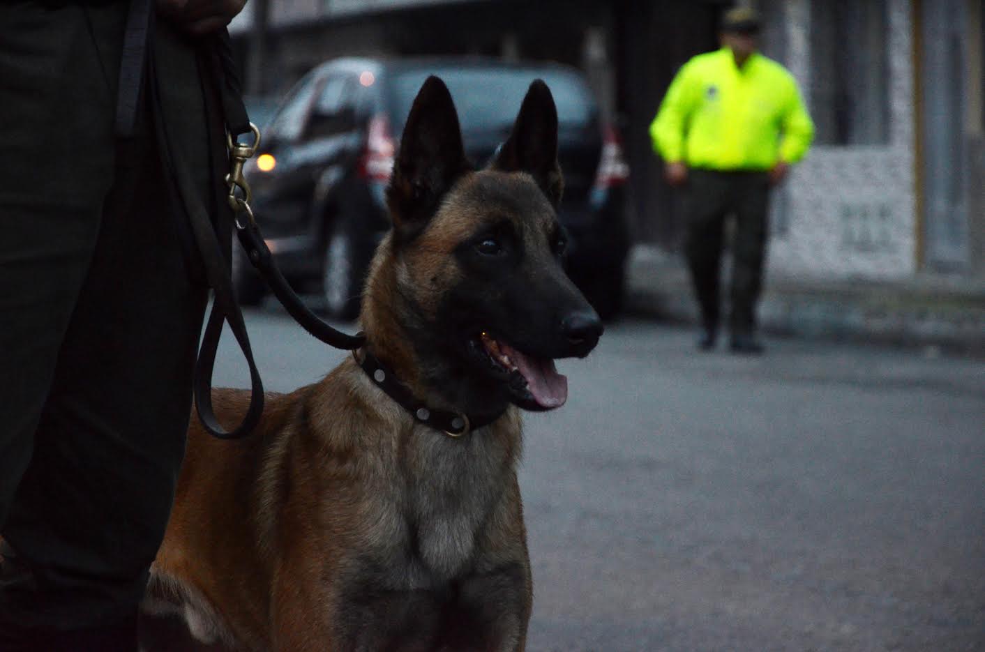 Capturados 11 integrantes de la banda delincuencial “la raya”