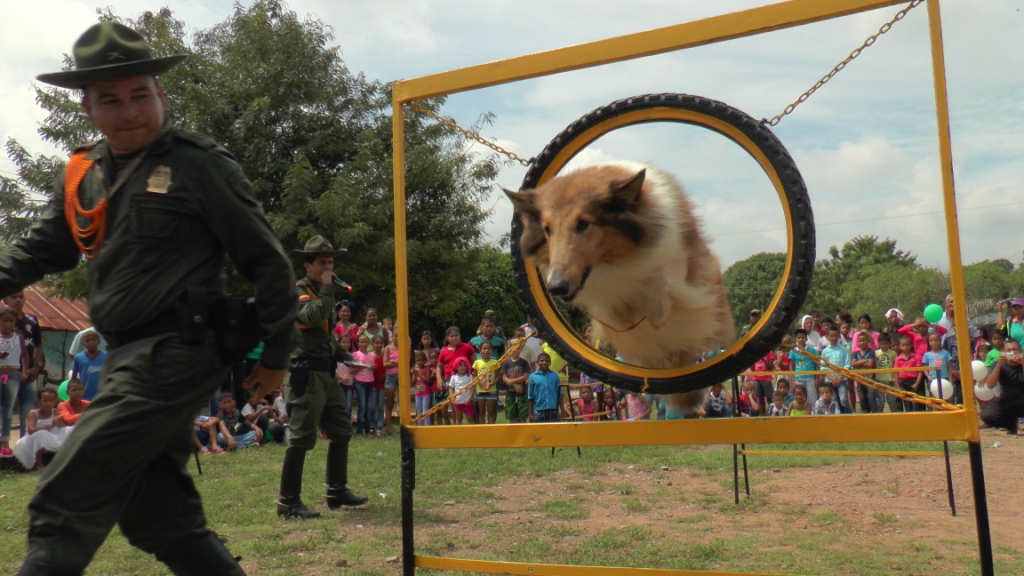 celebración día del niño show canino