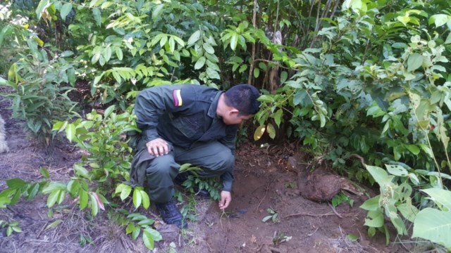 Desactivado otro campo minado en Araracuara 