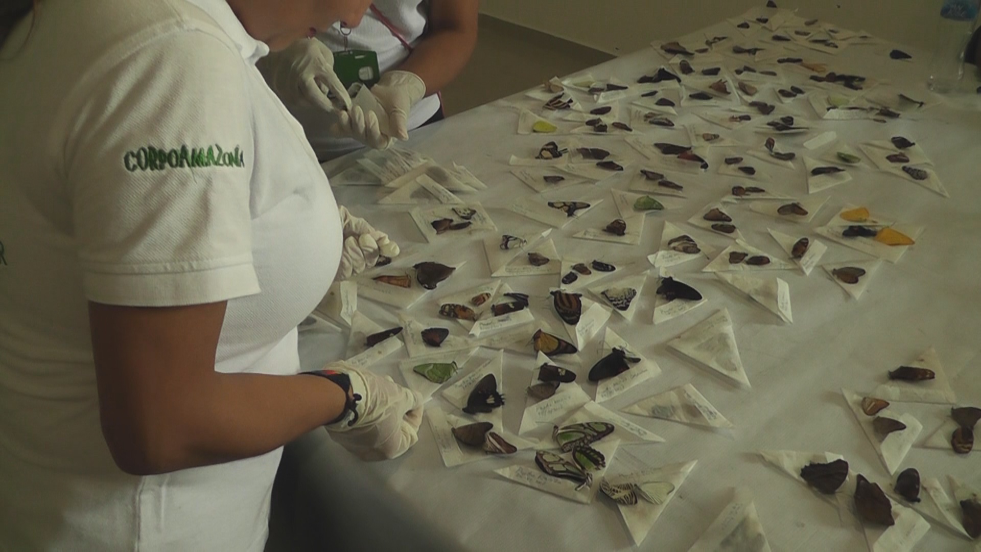 Capturado-extranjero 