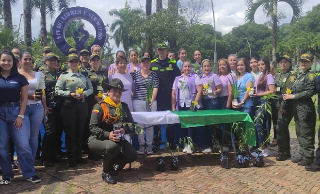 Día contra la violencia a la mujer