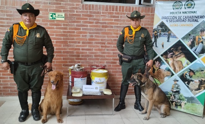 Estupefacientes incautados 