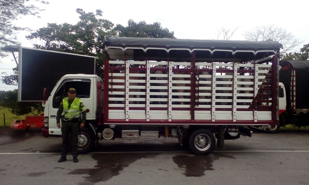 Se extreman controles ante la alerta de fiebre aftosa en la región