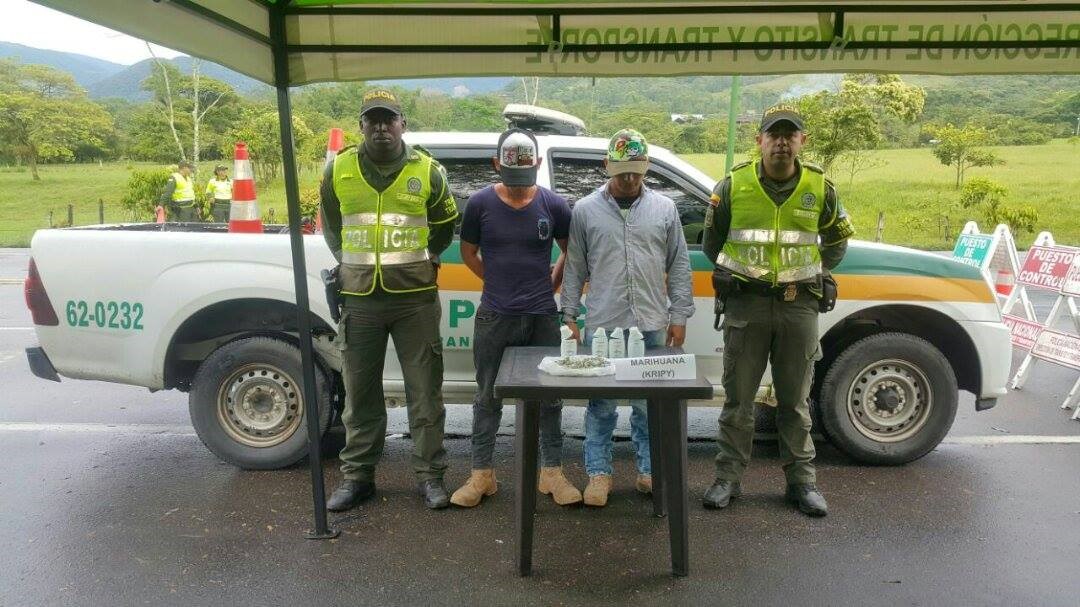 Policía logra la incautación de 1.000 gramos de marihuana tipo cripy