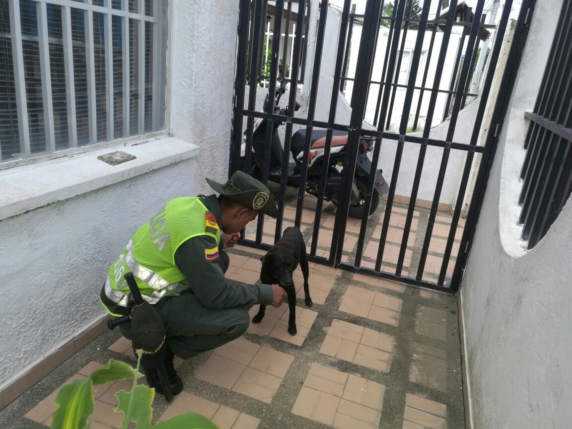 En armonía con el ambiente y los recursos naturales