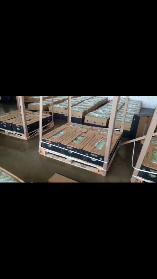 Incautamos-209-kilos-de-cocaína-ocultos-en-cajas-de-banano.