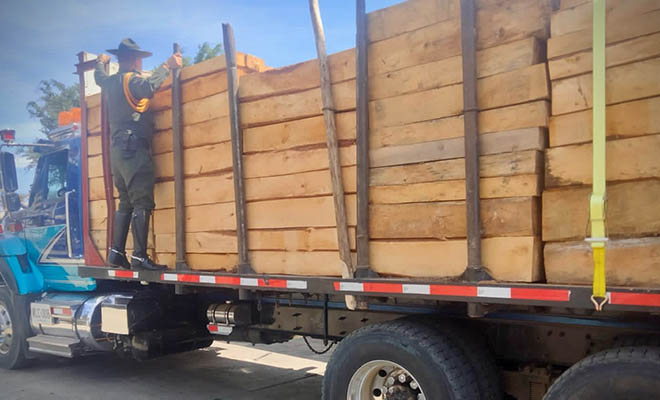 En Popayán, carabineros de la Policía incautaron 20 metros cúbicos de madera