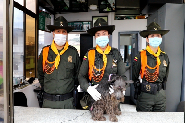 Jornada de atención y vacunación en beneficio de las mascotas adoptadas en cada CAI de Manizales 