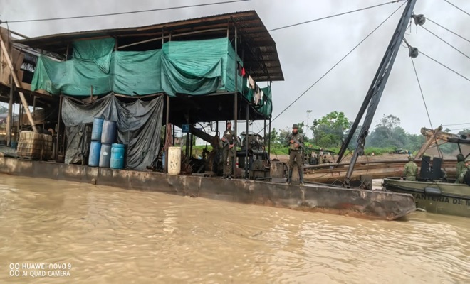 Dragones brasileros usados por la minería ilegal
