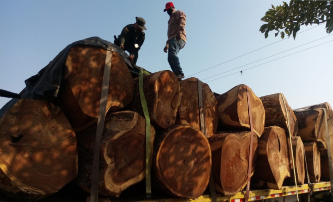 30-mts-cúbicos-de-madera-incautados
