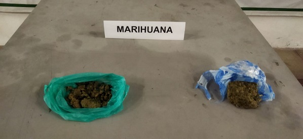 Alucinógenos incautados