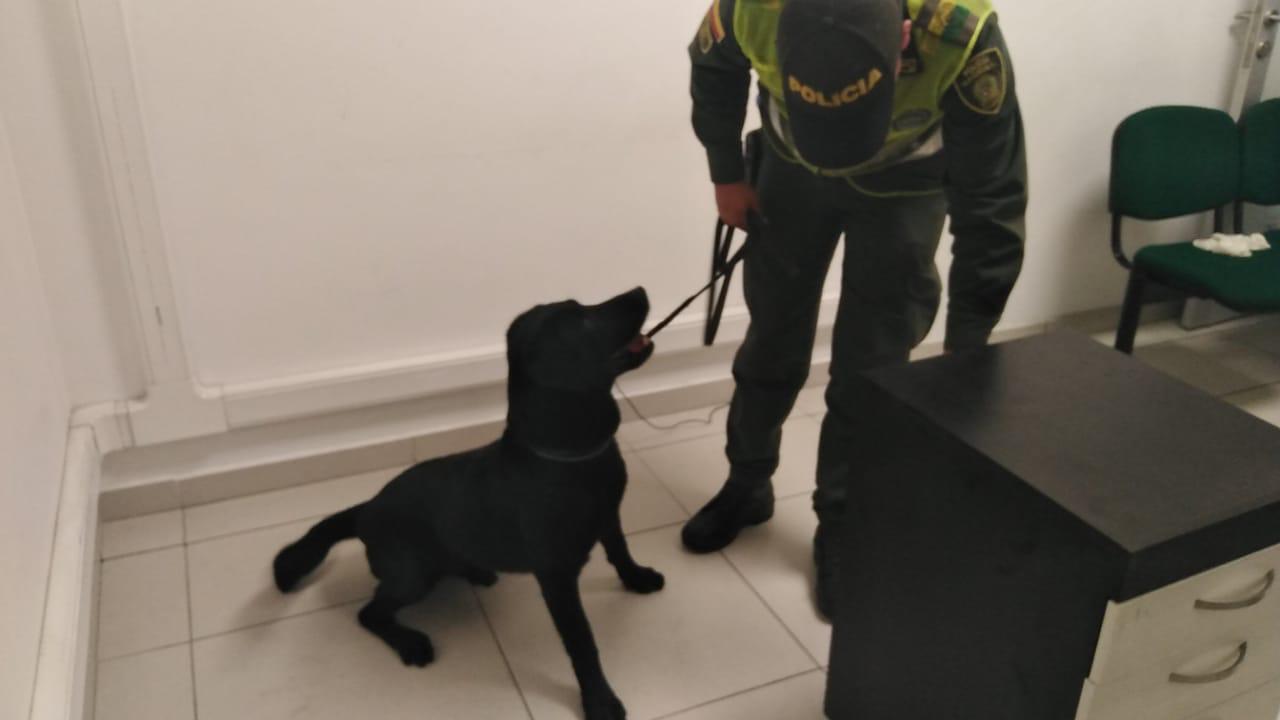 Incautar-4000-mil-ramos-de-cocaína 