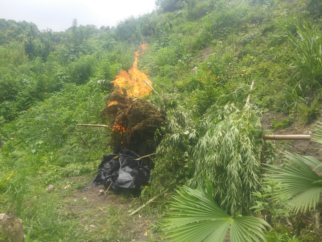 Hallamos-400-kilos-de-marihuana-en-Santa-Marta 