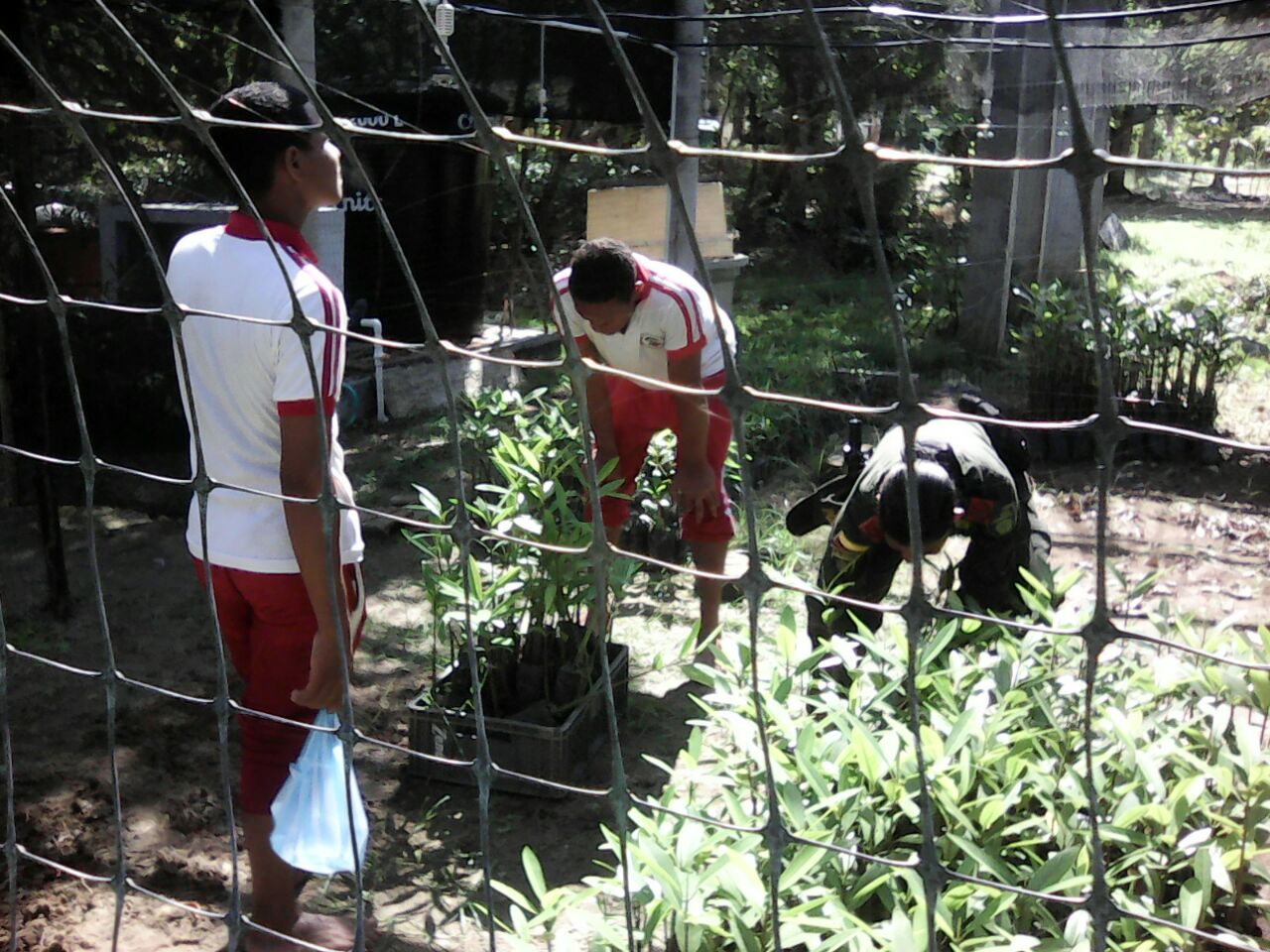 La campaña de protección ambiental permitió integrar a la comunidad