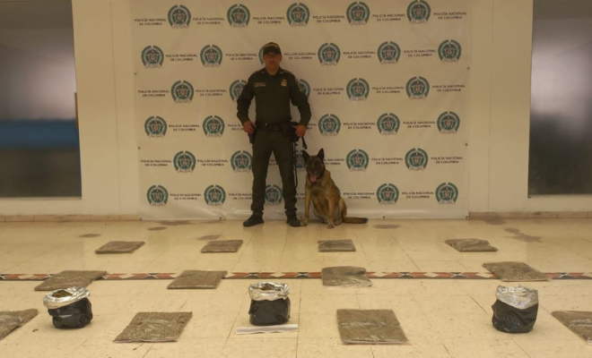 7.200 gramos de marihuana incautados en empresa de encomiendas