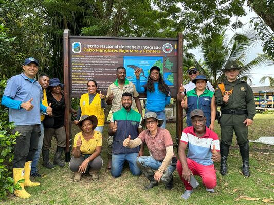 Siembran manglares en Nariño