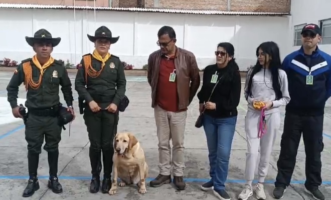En Nariño, es adoptada una canina que entregó más de seis años de servicio en detección de explosivos