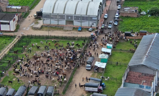 fortaleciendo la convivencia y seguridad ciudadana