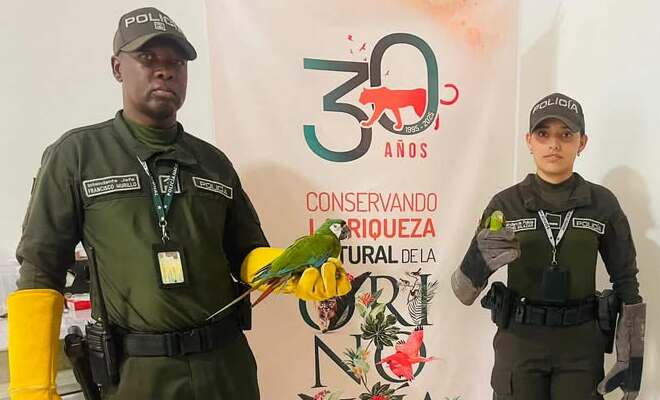 Polic&iacute;a recupera fauna silvestre y decomisa pescado ilegal en operativo ambiental en Puerto Carre&ntilde;o