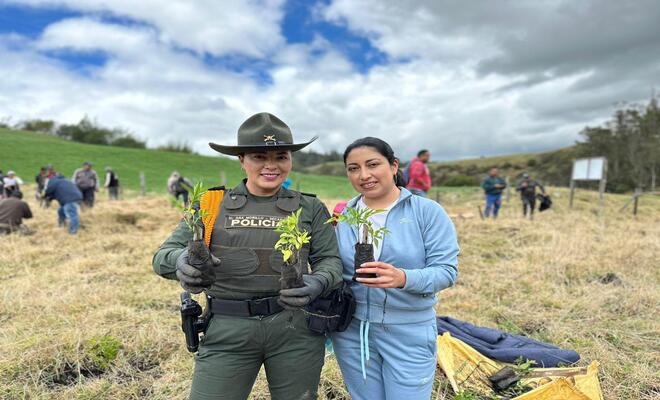 Más de cinco mil árboles fueron sembrados en Carlosama 