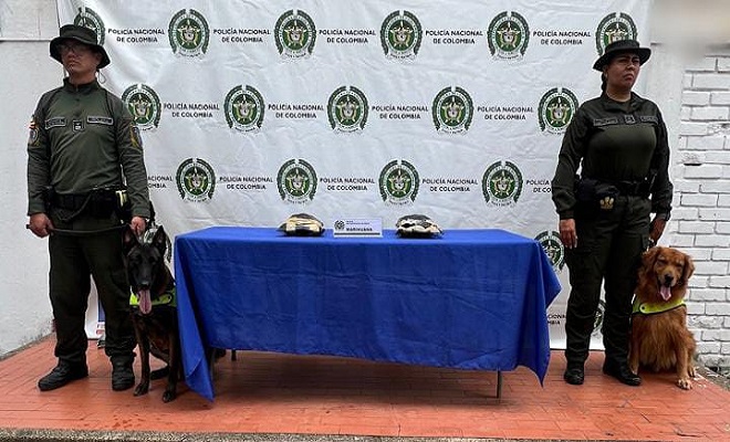 Policía Nacional, continúa la lucha contra la venta de estupefacientes