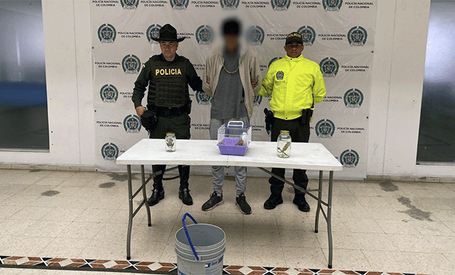 Capturado operación contra el tráfico de fauna silvestre