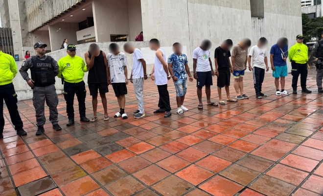 Desarticuladas bandas dedicadas al hurto y la estafa en temporada de fin de año