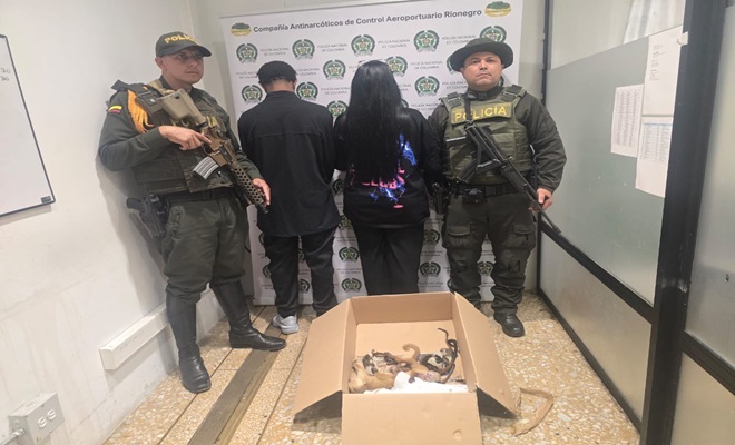 Personas capturadas por tráfico de fauna silvestre