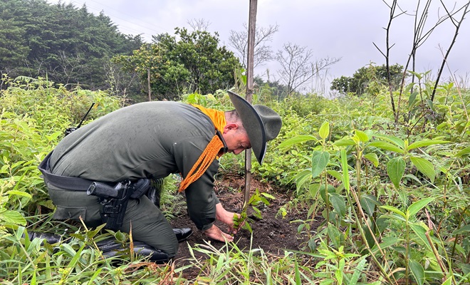 Carabineros en sembratón