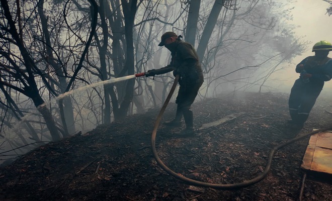 Carabineros despliegan acciones para proteger el capital natural
