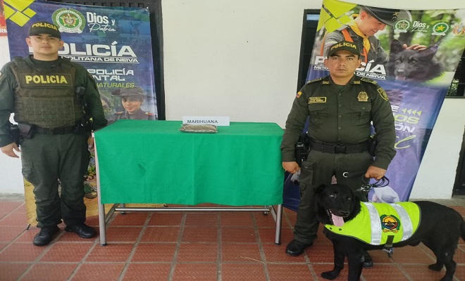 Operativos y campañas de prevención contra el narcotráfico continúan en Neiva