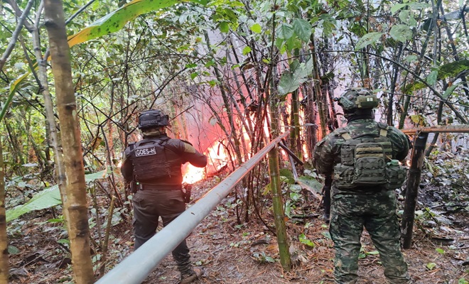Afectamos las finanzas de grupos criminales dedicados al apoderamiento y comercialización ilícita de  hidrocarburos.