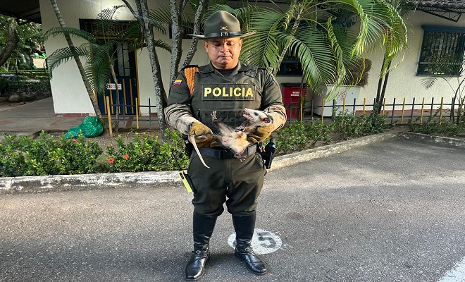  Diversidad biológica, Policía Nacional