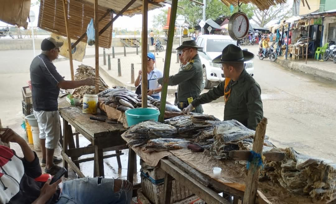Durante esta época, muchas personas optan por no consumir carnes rojas y en su lugar eligen pescado
