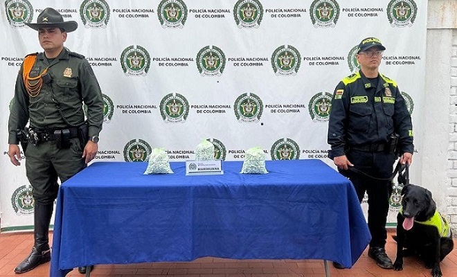 El canino Otoño de la Policía Nacional en Neiva arroja resultados relevantes