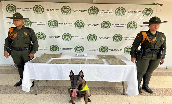 Hallazgo de sustancia narcótica en zona boscosa de Neiva