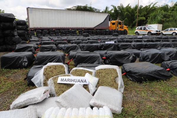 Incautado el cargamento de marihuana más grande en los últimos años en Caldas: avaluado en más de $2.500 millones
