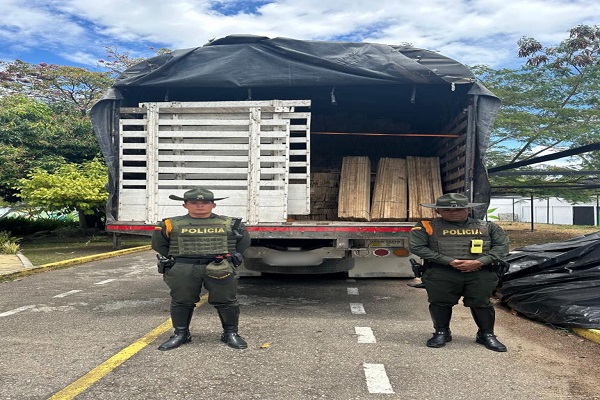 Incautación de 15 metros cúbicos de madera en tabla