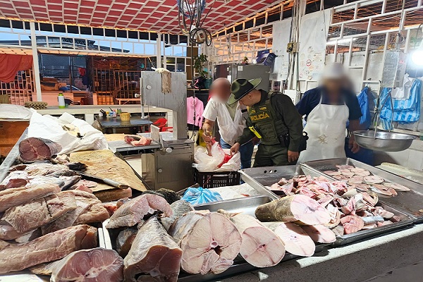 Polic&iacute;a verificando estado de los pescados