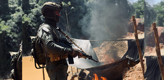 Intervenci&oacute;n fue liderada por la Direcci&oacute;n de Carabineros y Protecci&oacute;n Ambiental.