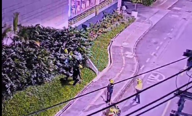 Hallazgo arma de fuego 