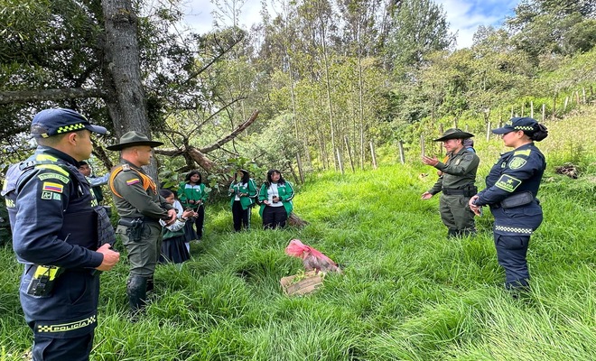 Siembra de árboles en Ipiales 