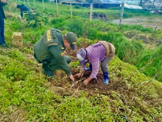Jornada de reforestación en el Día del Agua busca sensibilizar sobre la  importancia de los bosques