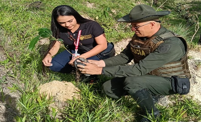 Juntos por la protección del medio ambiente