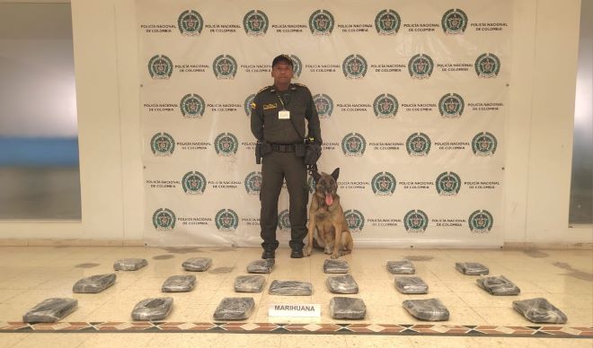 Acciones contra el tráfico local estupefacientes