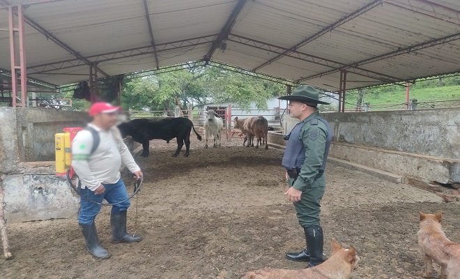 Sé desplegó planes contundentes contra el delito en toda la jurisdicción.