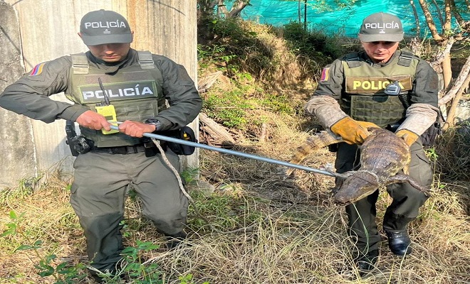 Policía Nacional protege la Fauna Silvestre 